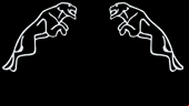 logo Casadotriciclo